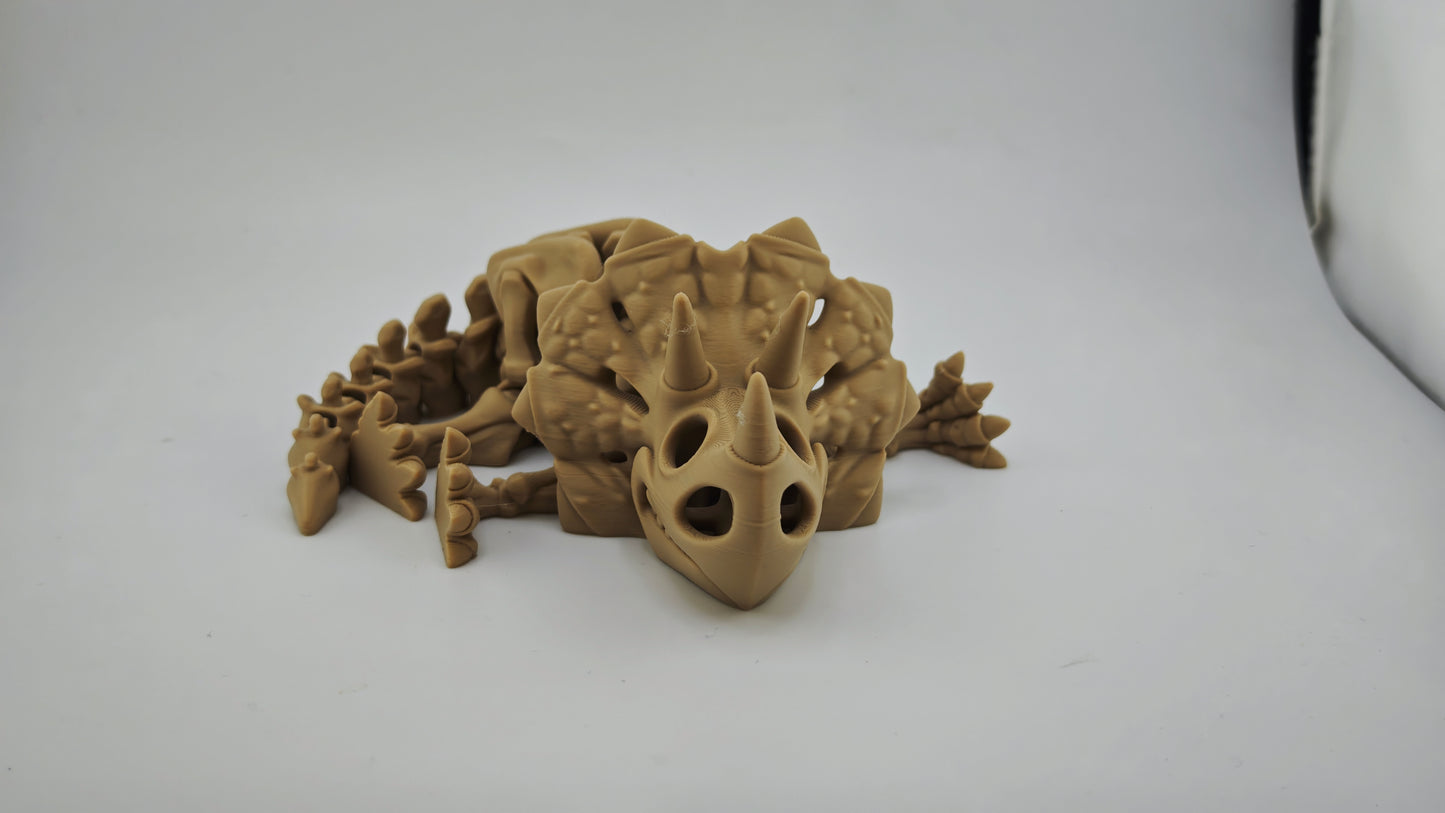 Dinosaur Skeletons Articulated