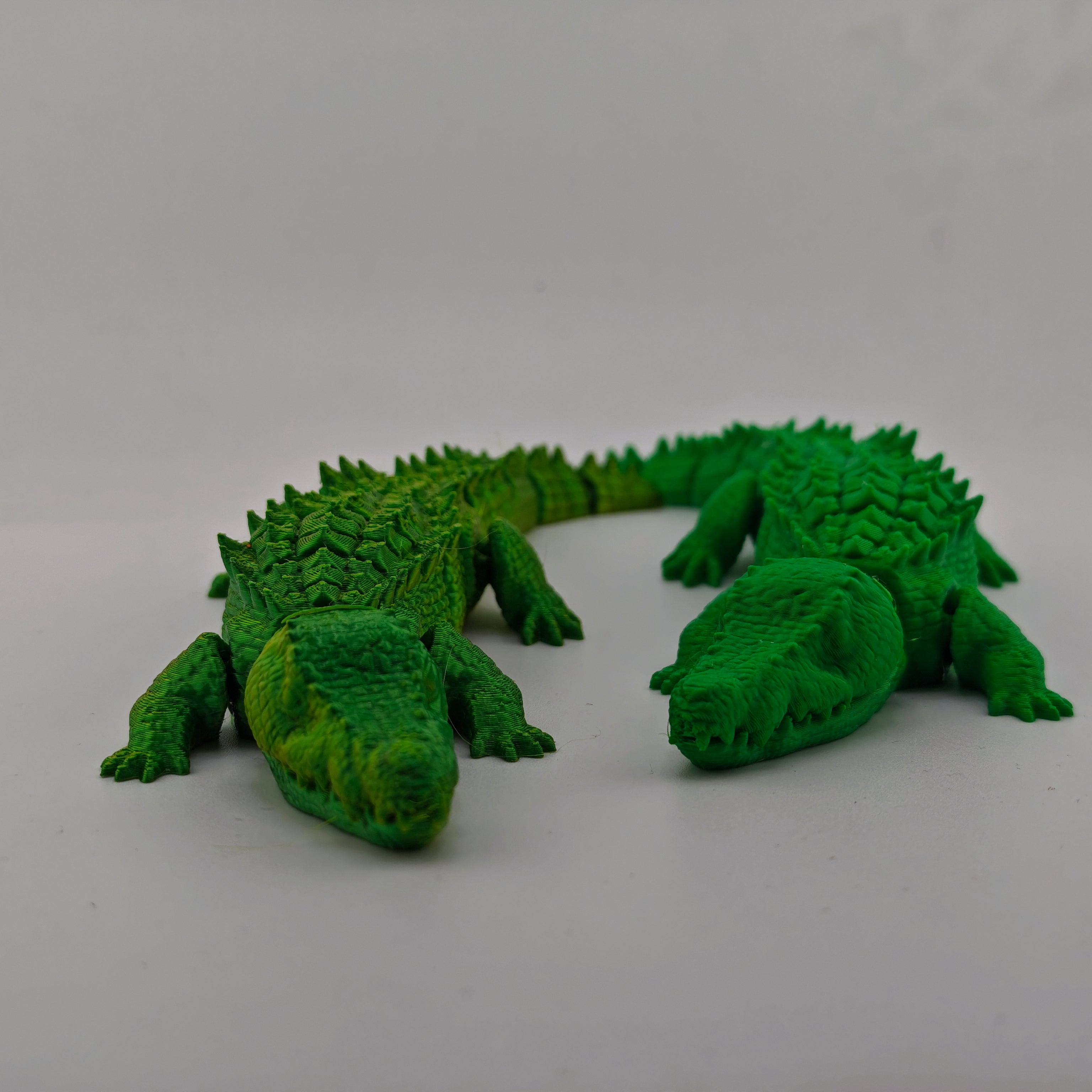 Crocodile - Articulated Animal