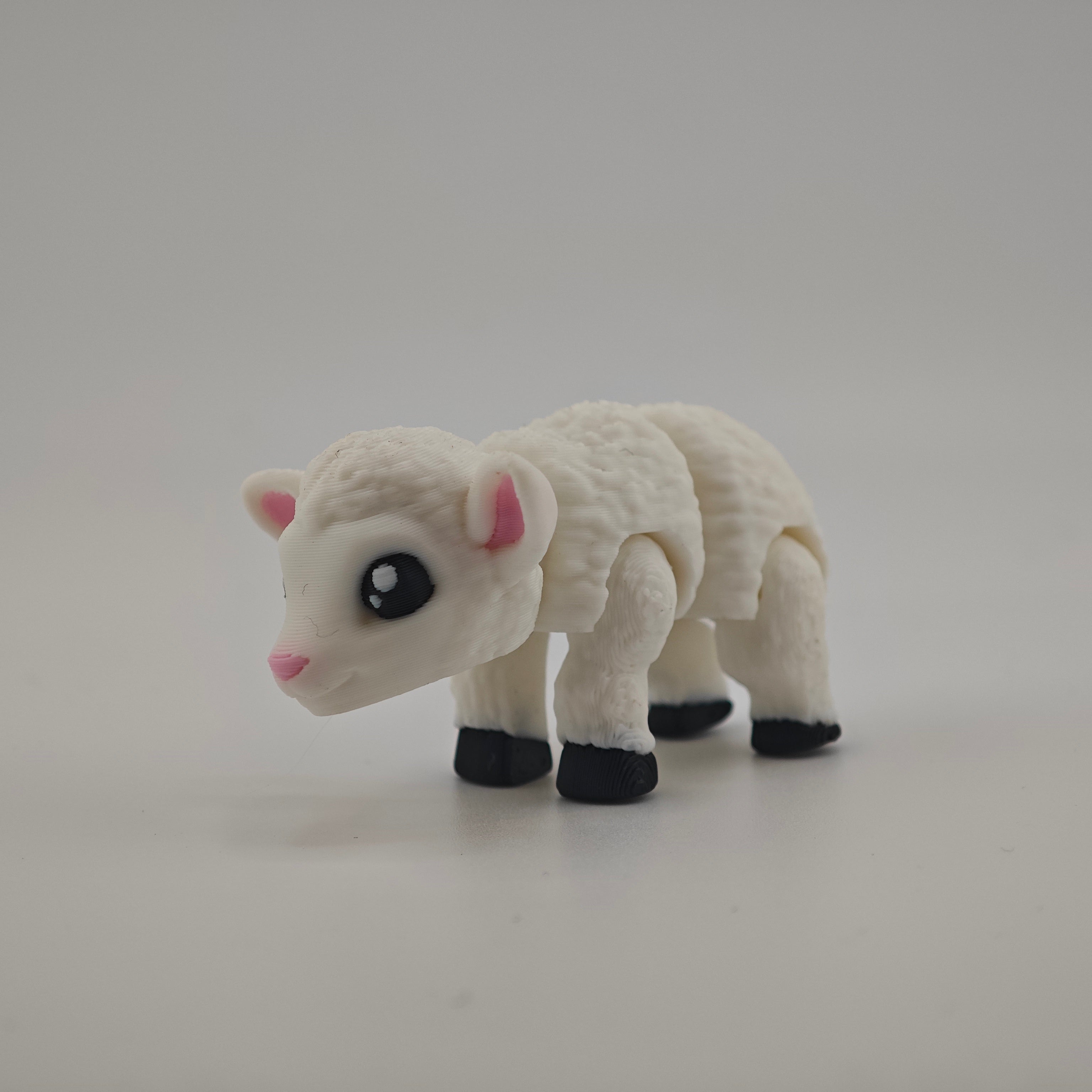 Lamb