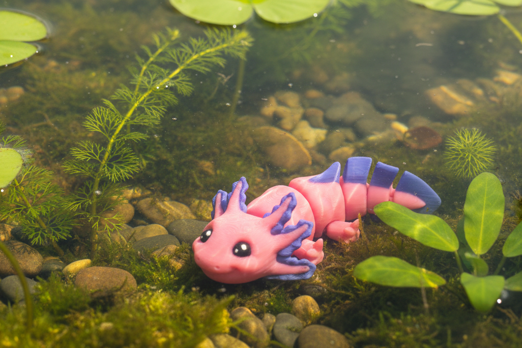 Mini Axolotl Articulated Animal Fidget
