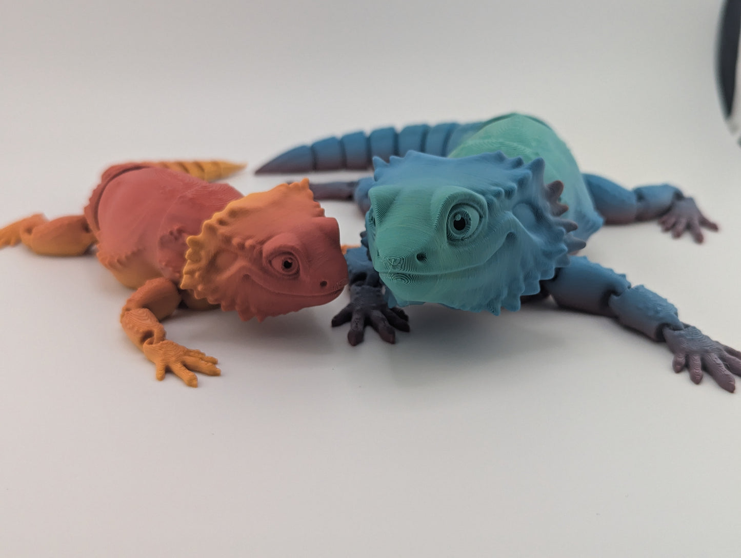 Bearded dragon Fidget Toy