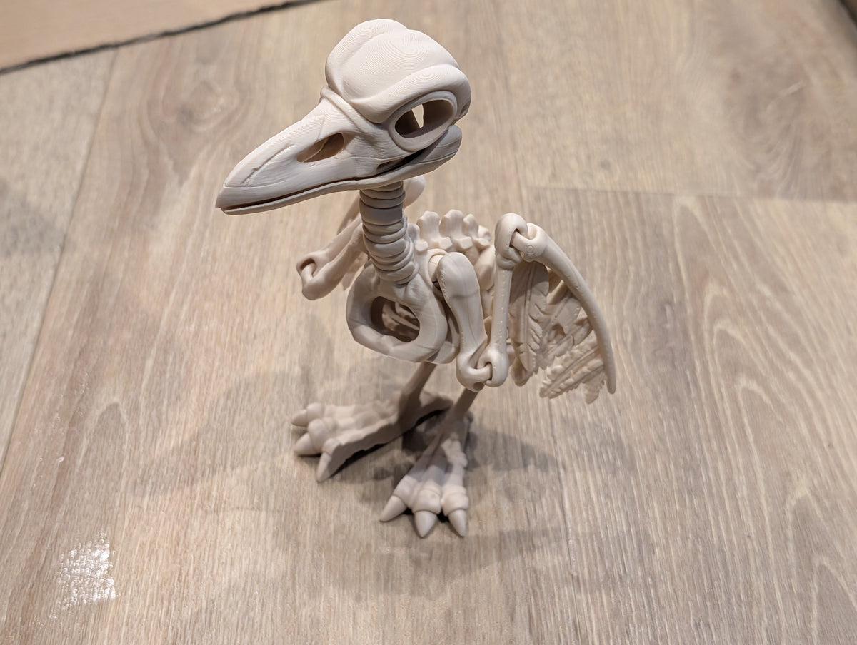 Crow - Articulated Skeleton