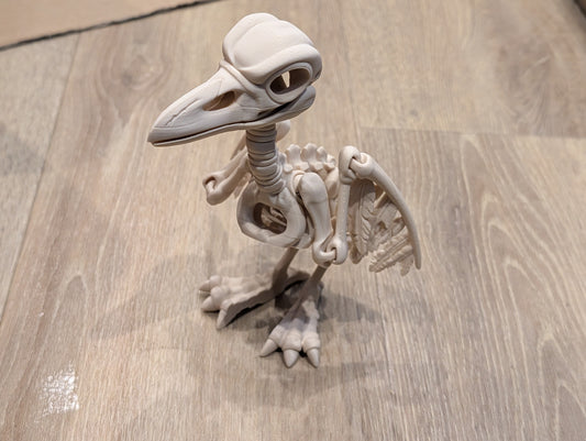 Crow - Articulated Skeleton