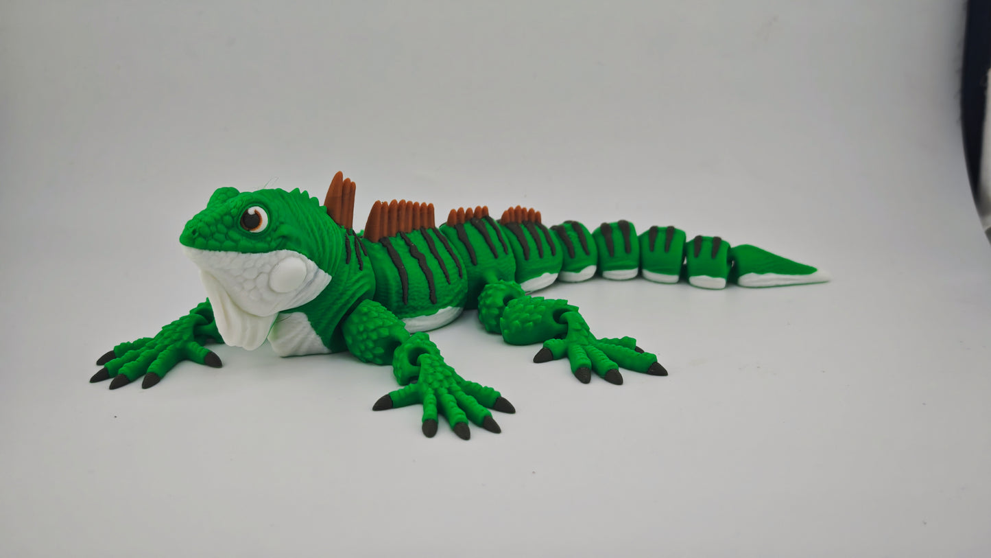Iguana