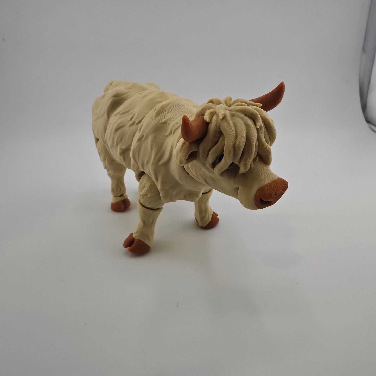 Highland Cow
