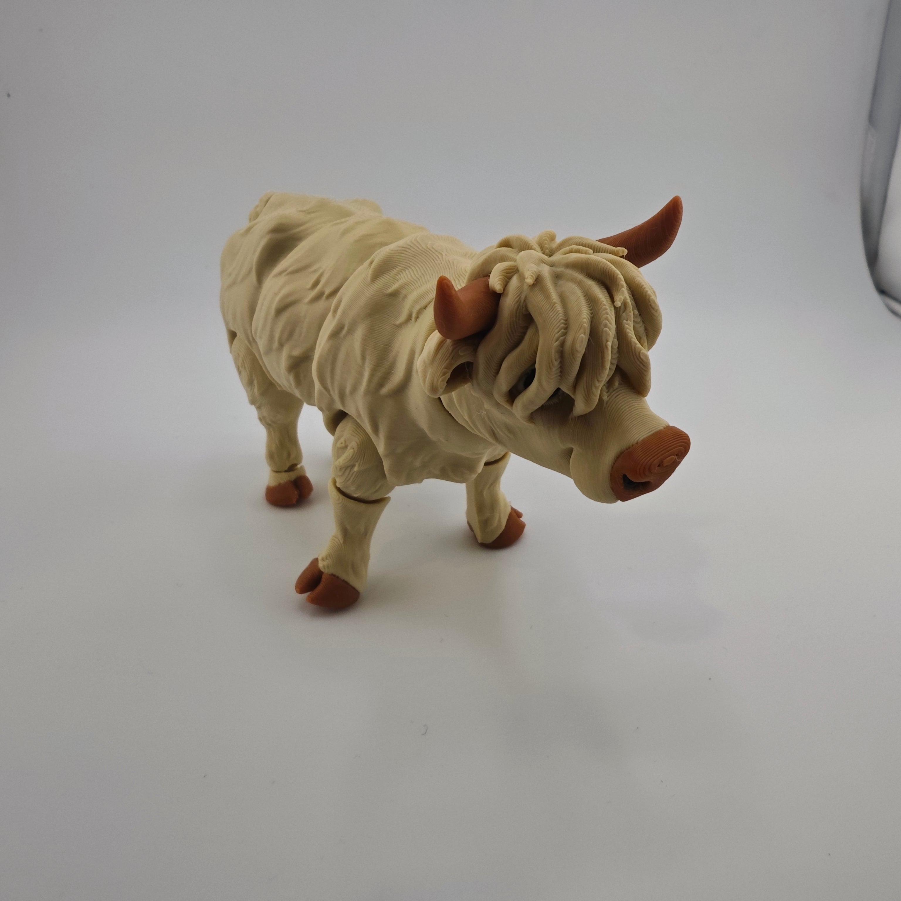 Highland Cow