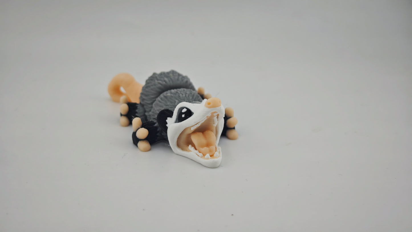 Possum