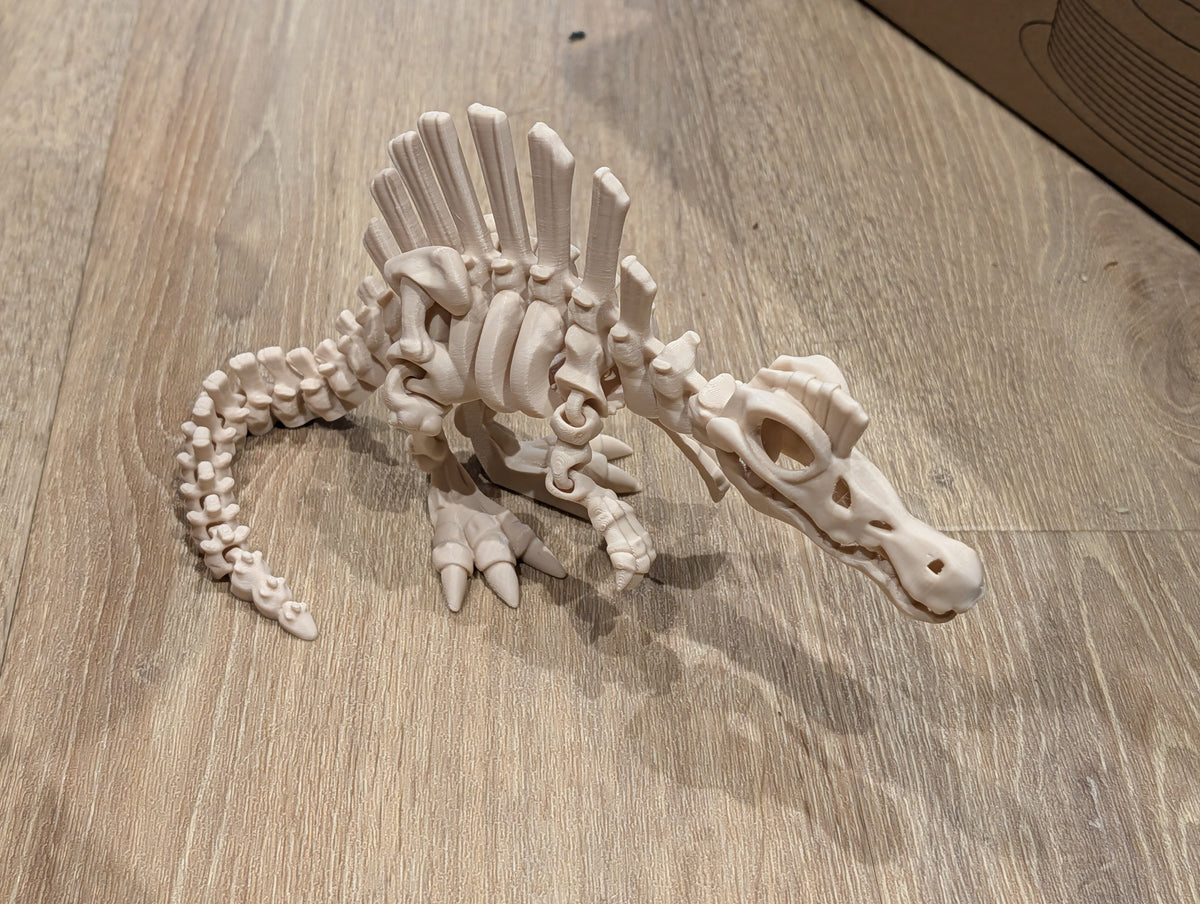 Spinosaurus - Articulated Skeleton