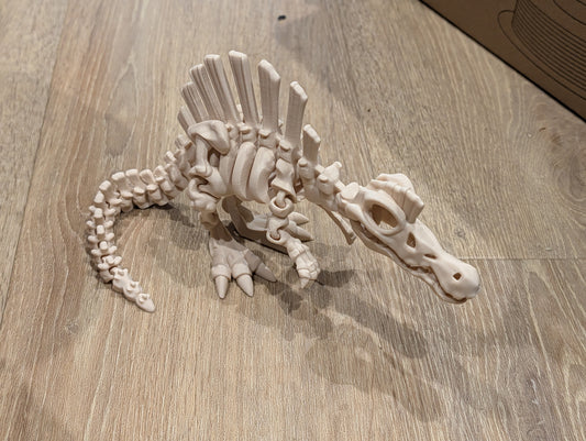 Spinosaurus - Articulated Skeleton