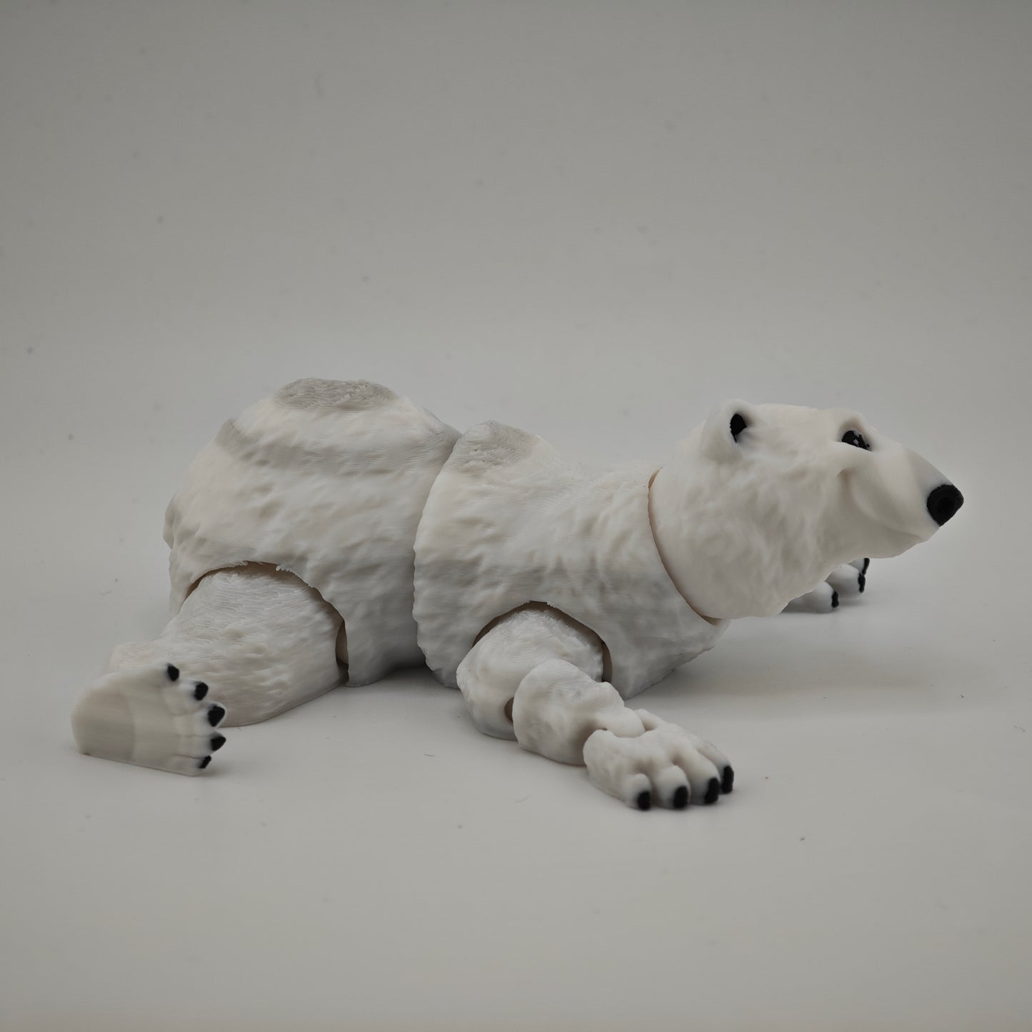 Polar Bear