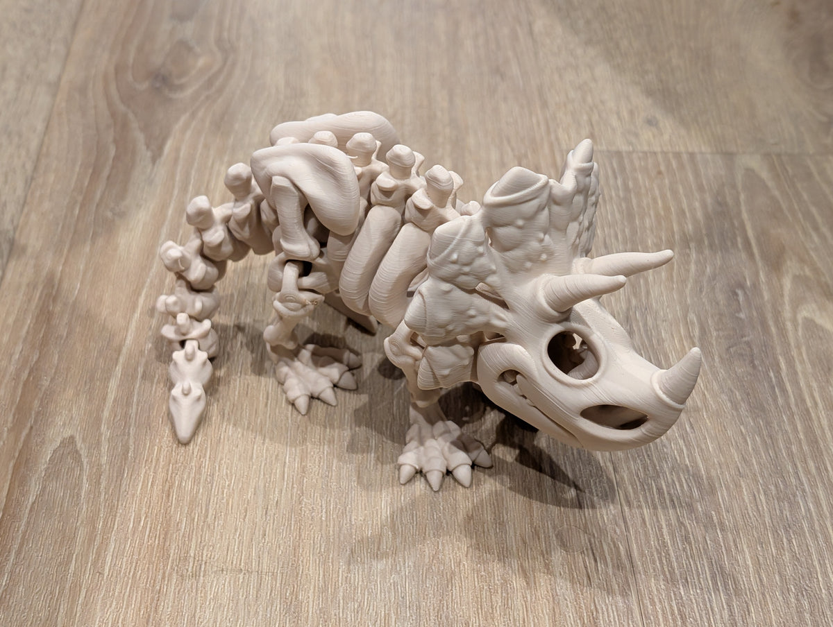Triceratops - Articulated Skeleton