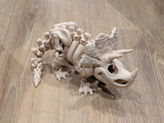 Triceratops - Articulated Skeleton
