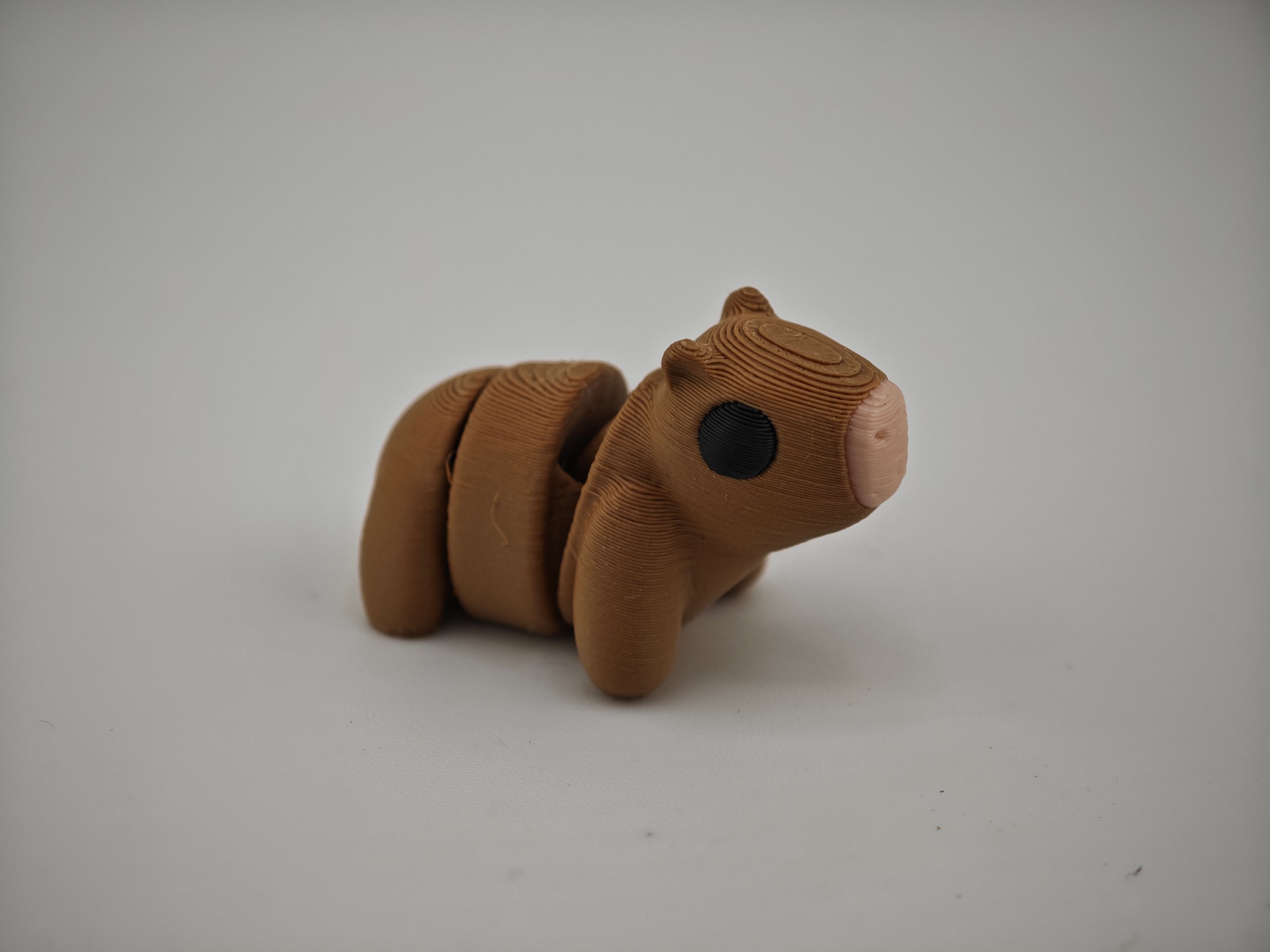 Pocket Pal Chose Your Own