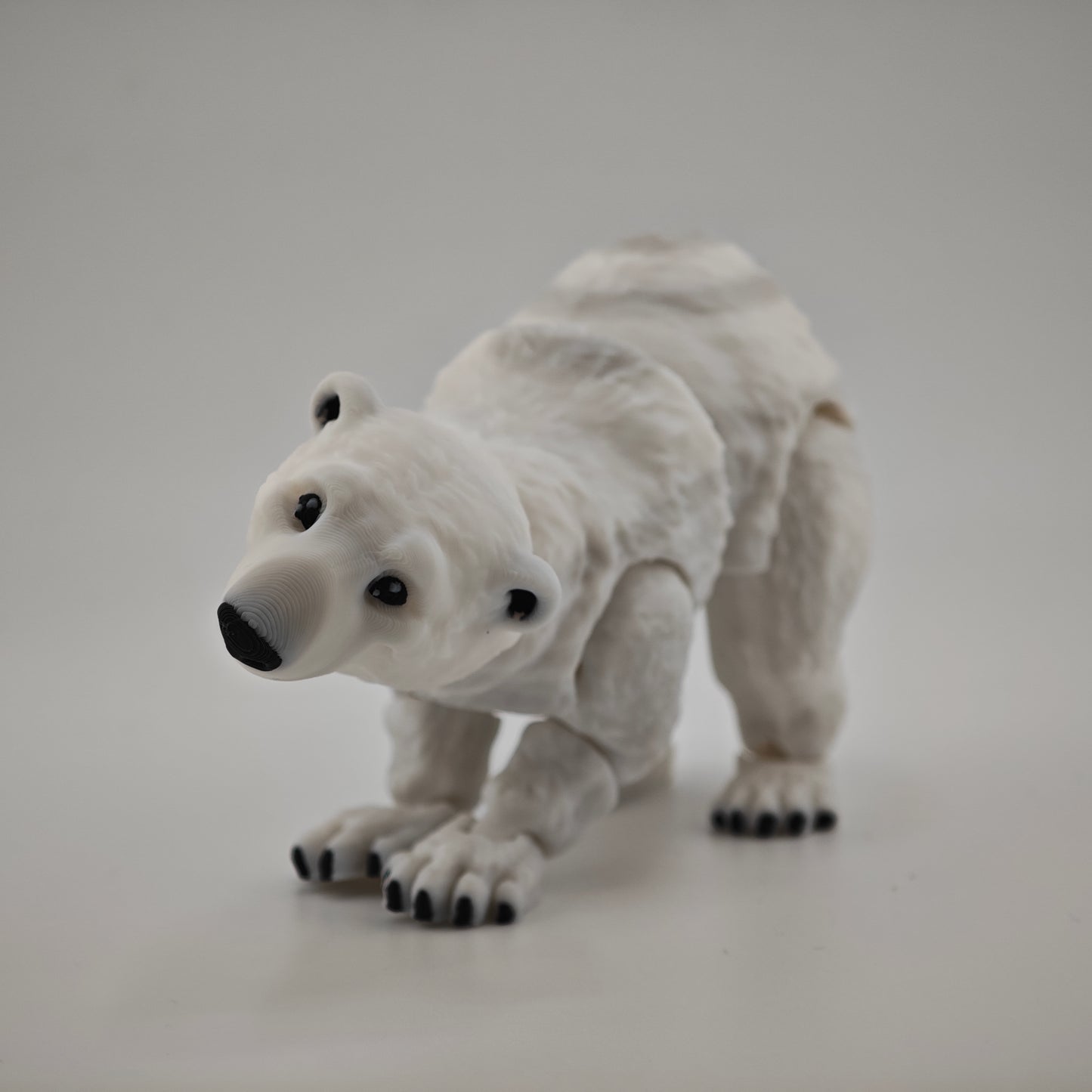 Polar Bear