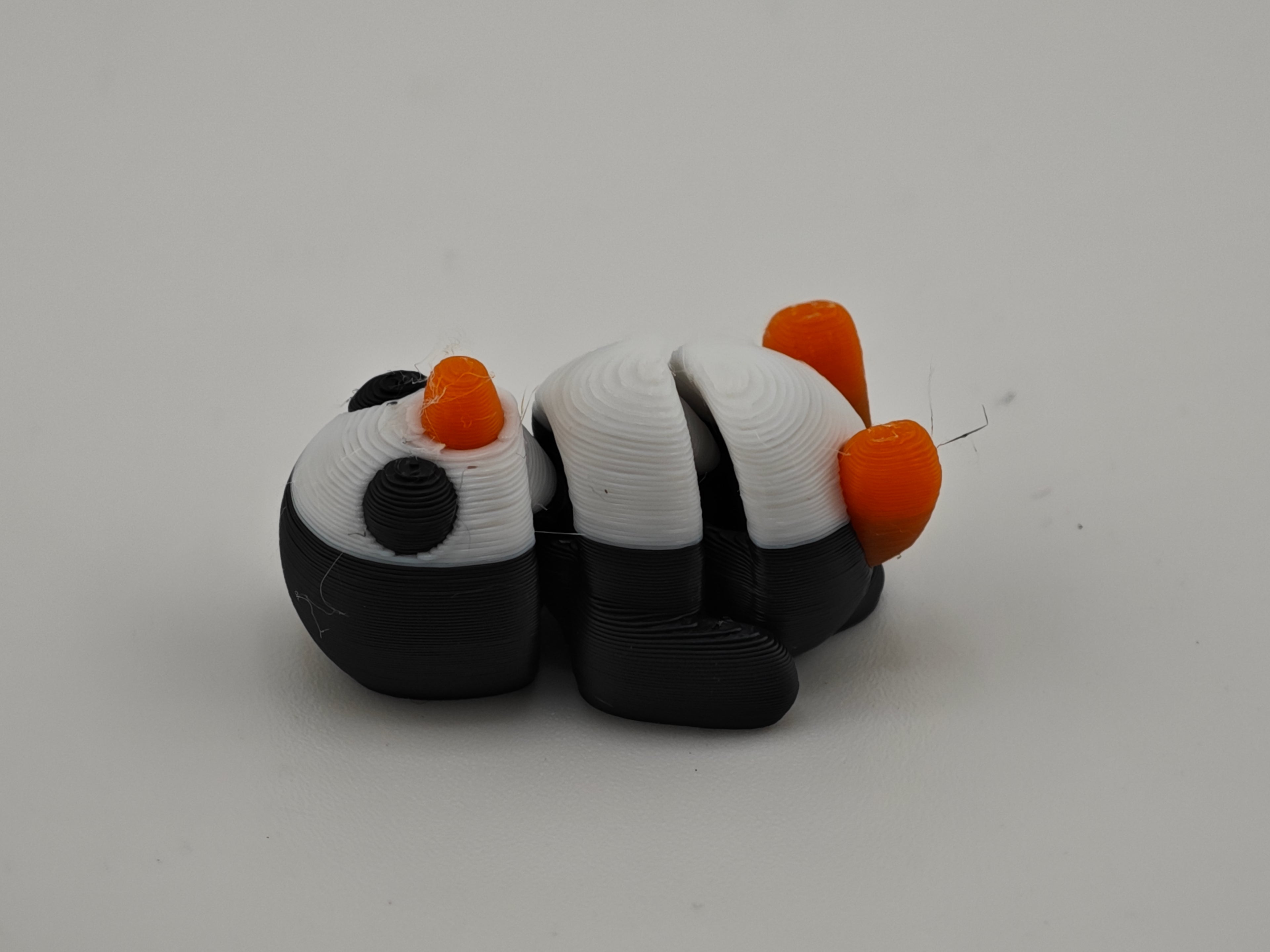 Pocket Pal Chose Your Own