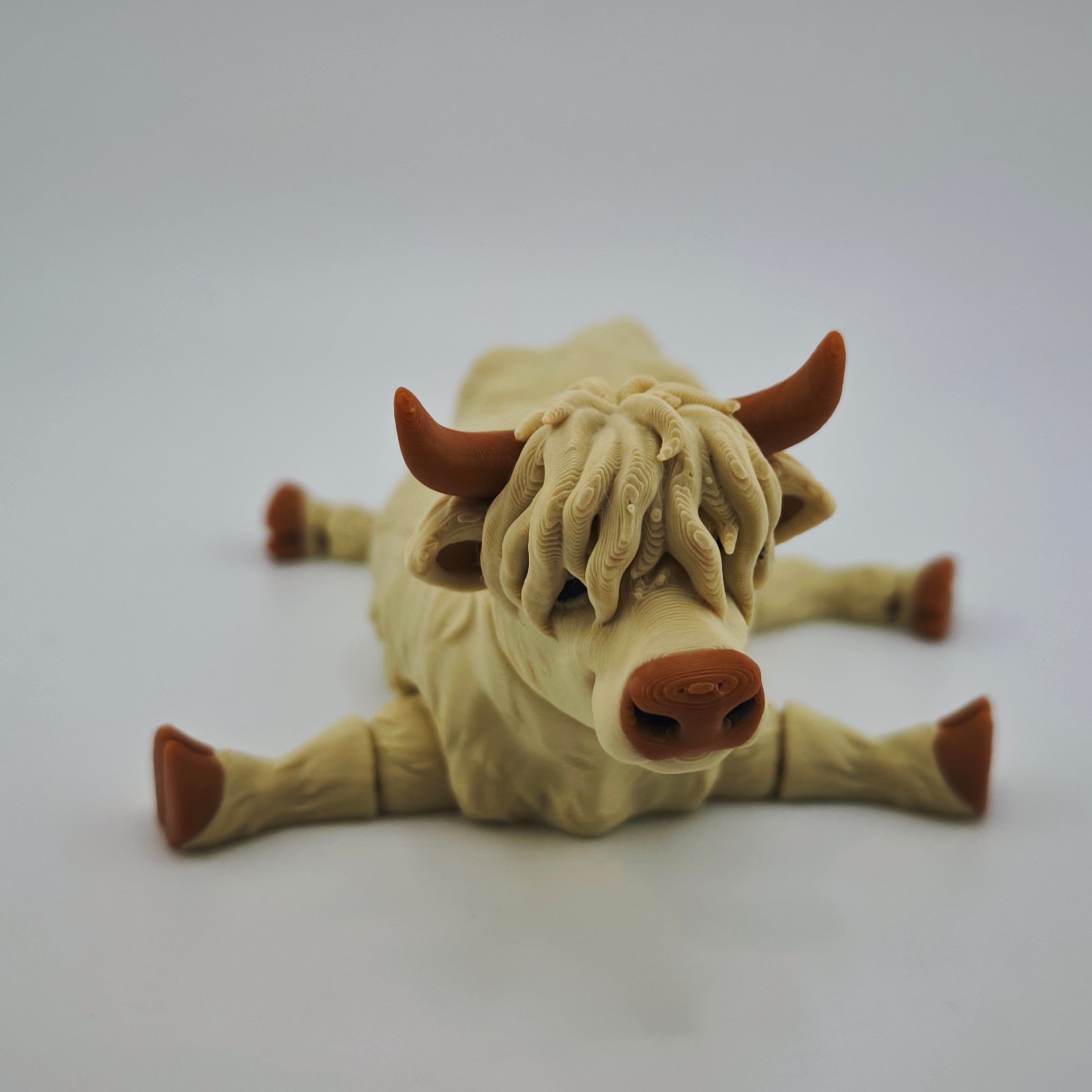 Highland Cow