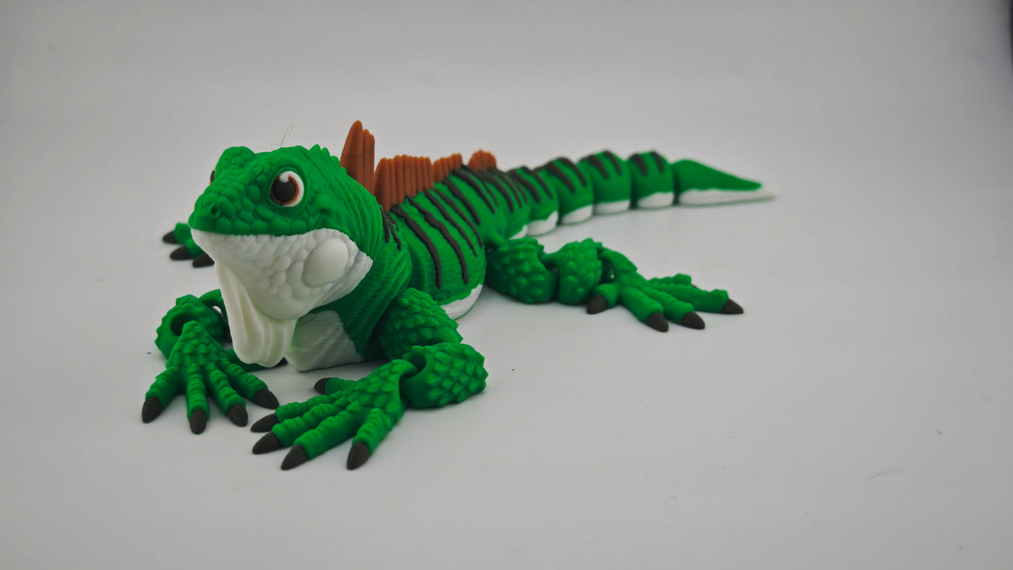 Iguana