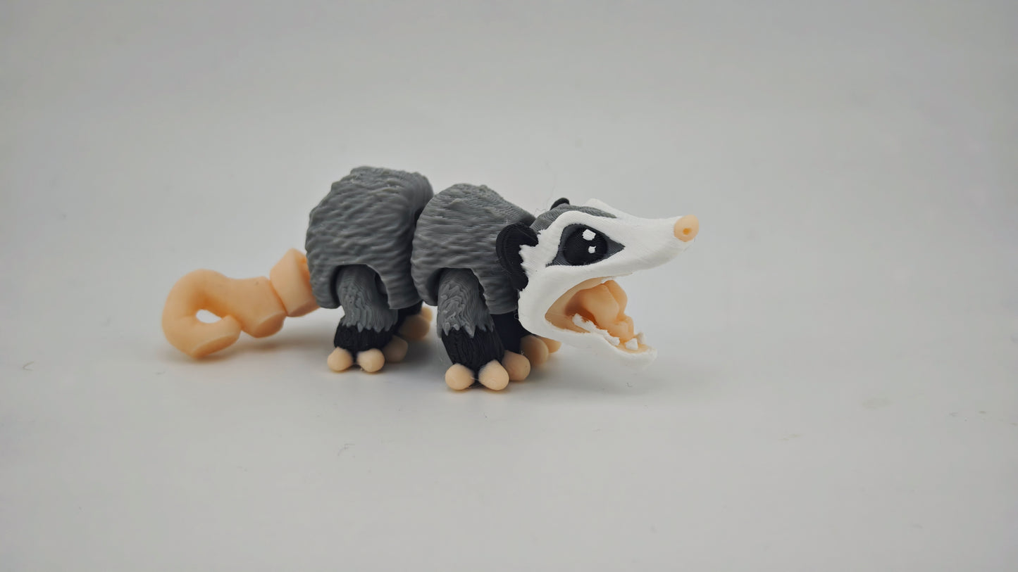 Possum