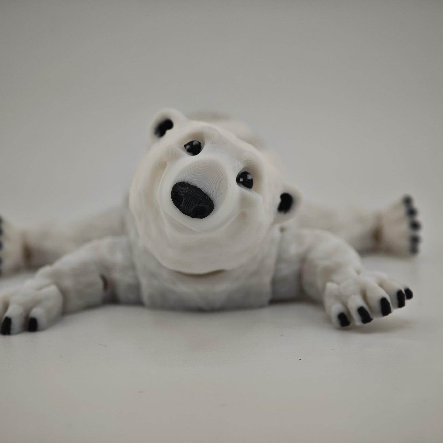 Polar Bear