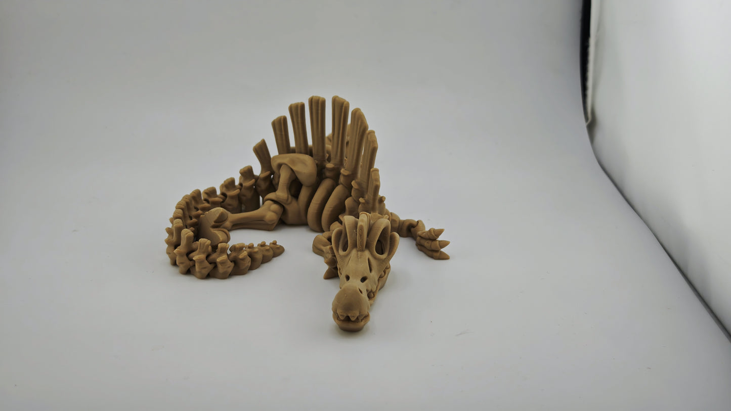 Dinosaur Skeletons Articulated